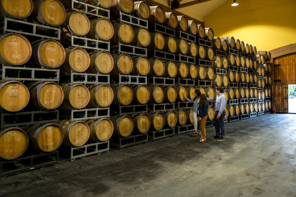 enoturismo en  chile wine tourism