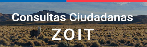consulta ciudadana zoit
