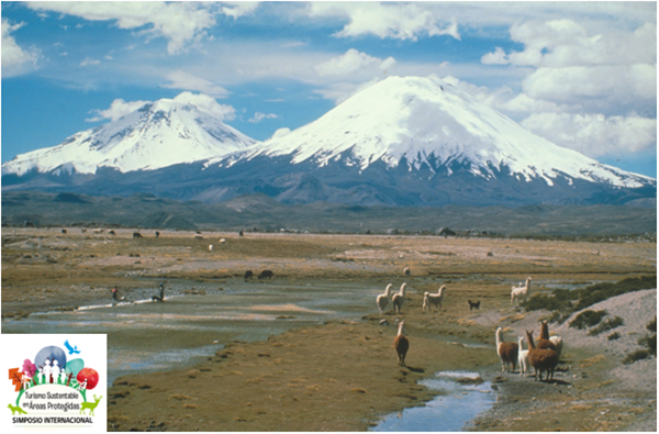 Proponen creación de Ruta de Parques de la Patagonia para potenciar Turismo de Naturaleza