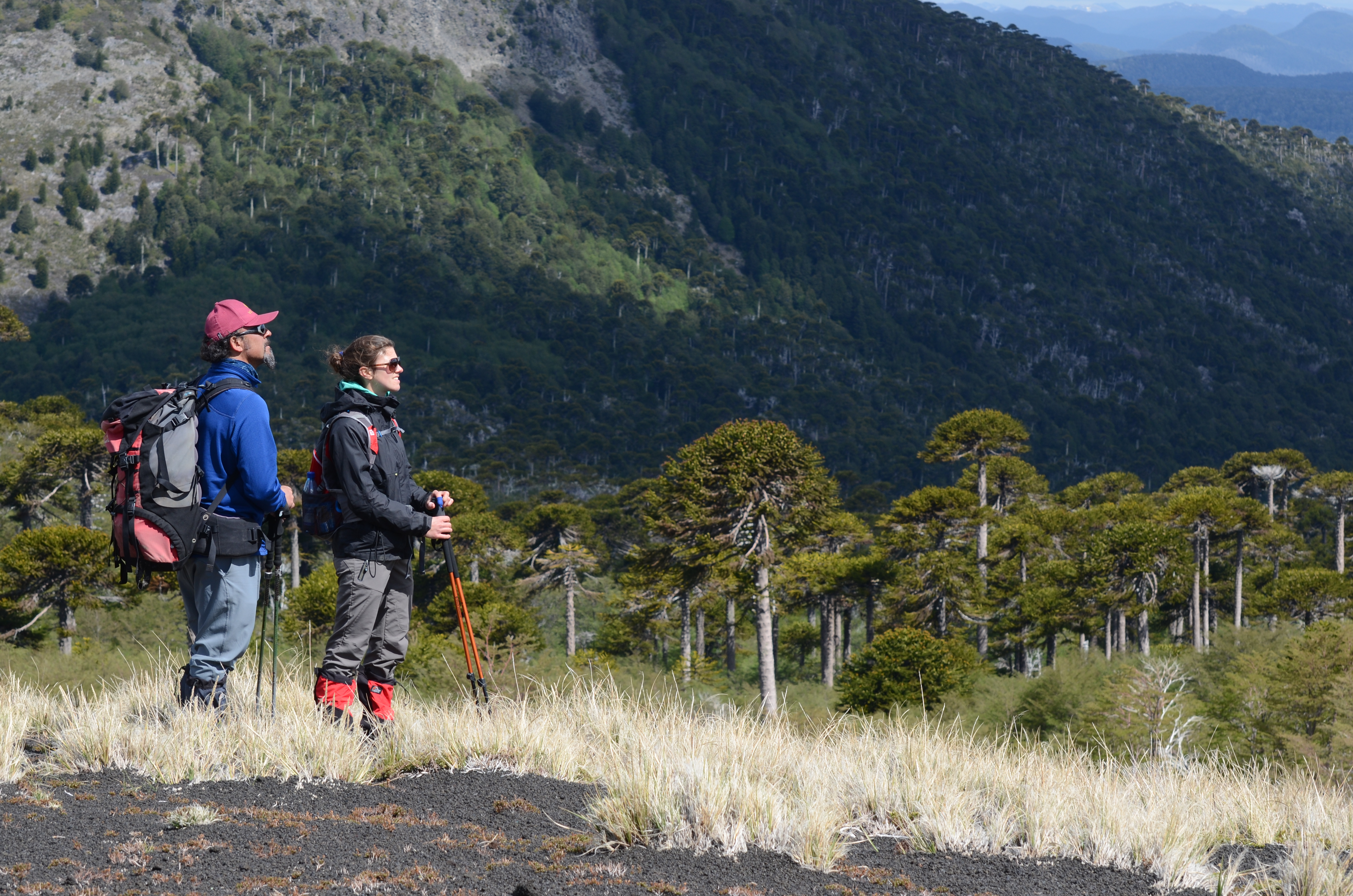 Gobierno anuncia licitación de centro de montaña y esquí en Parque Villarrica