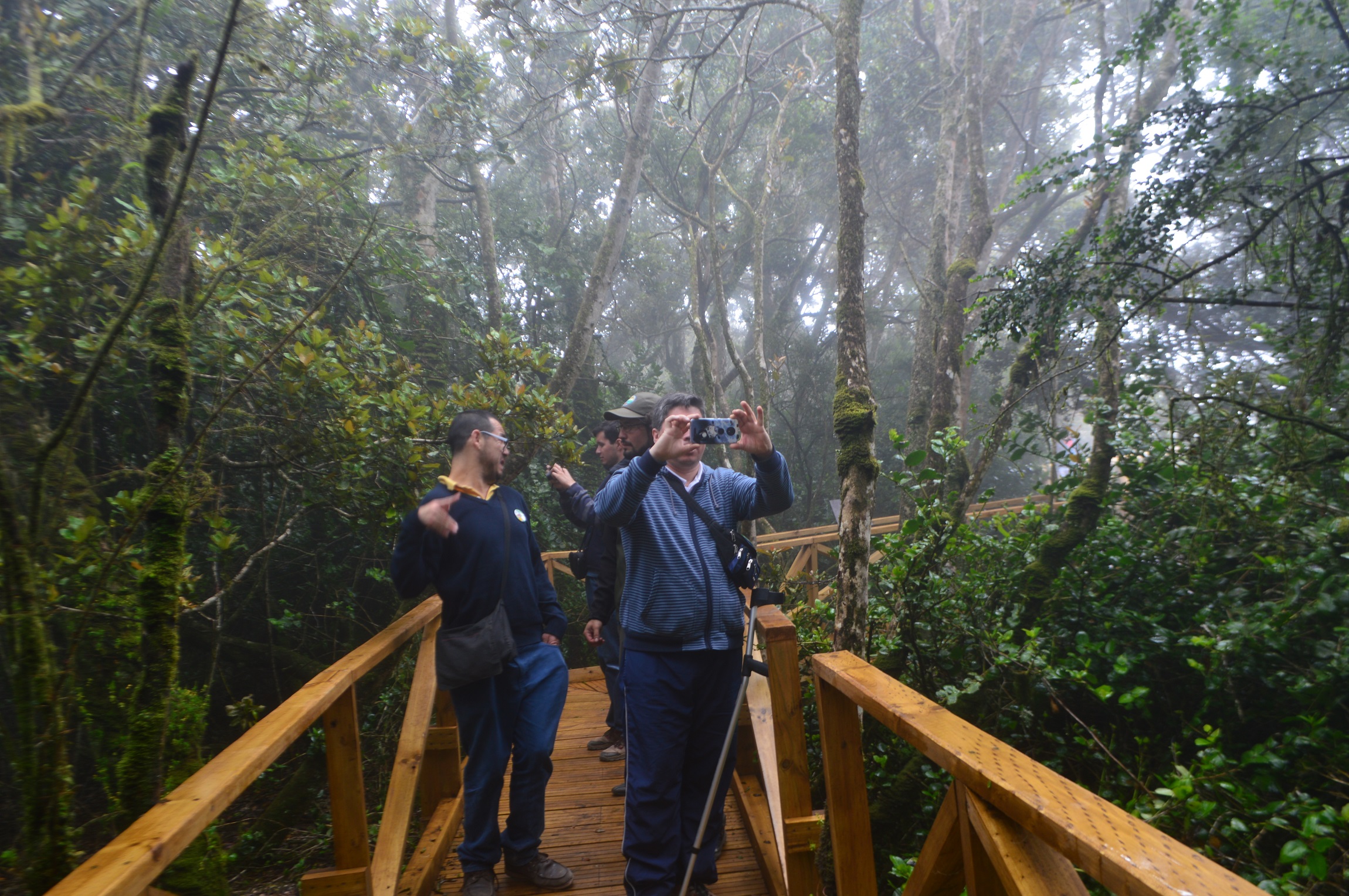 Fuerte impulso al turismo de Región de Coquimbo gracias a nueva infraestructura de Parque Nacional Bosque Fray Jorge