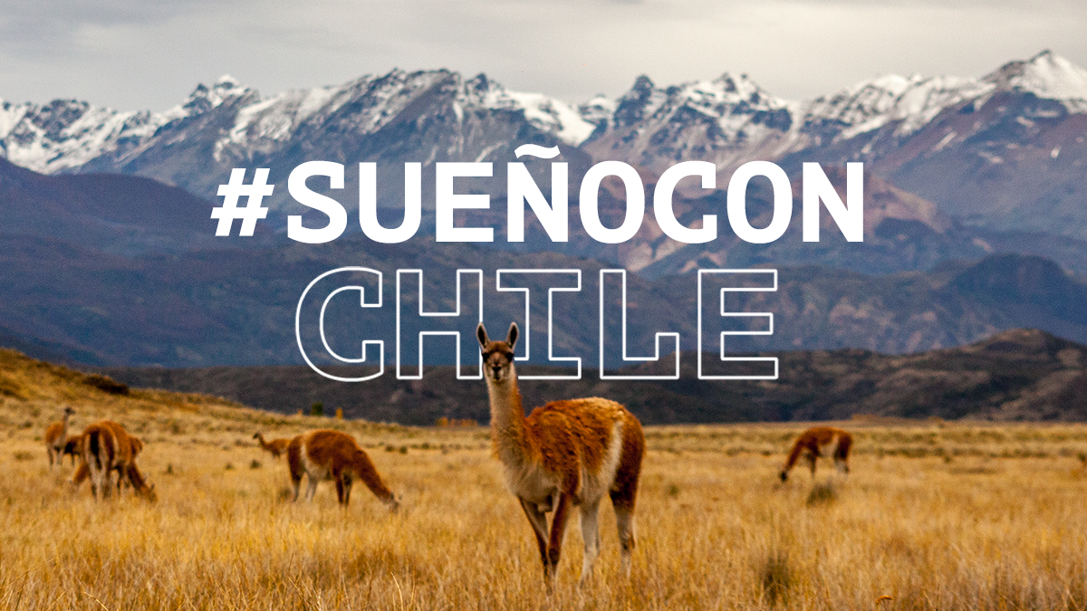 I Dream of Chile Sessions: ciclo de webinars presenta los atractivos del país a prestadores turísticos internacionales