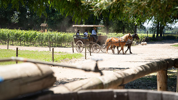 Valle de Colchagua y San Pedro de Atacama fueron los destinos más visitados durante Semana Santa