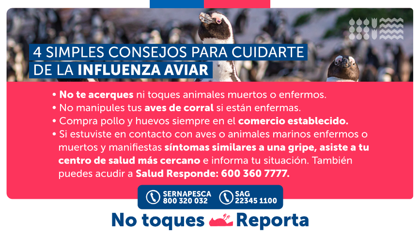 Gripe Aviar: Subsecretaría de Turismo entrega recomendaciones para fin de semana largo